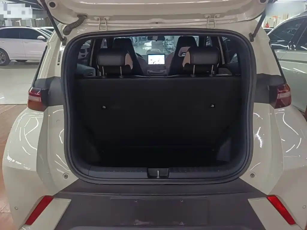 Seagull 2023 Vitality Edition купить на сайте DeffCars
