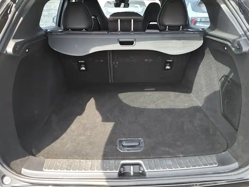 Lynk & Co 01 2023 1.5TD EM-F PM купить на сайте DeffCars