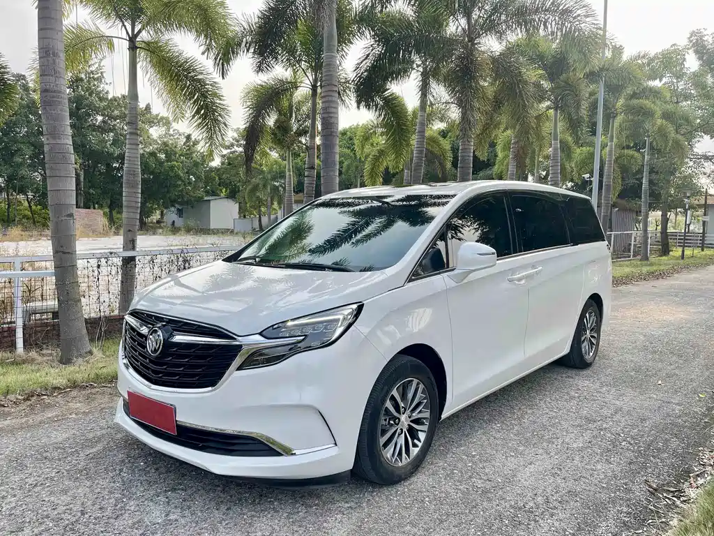 Buick GL8 2020 ES Lu Zun 653T Comfort Type купить на сайте DeffCars
