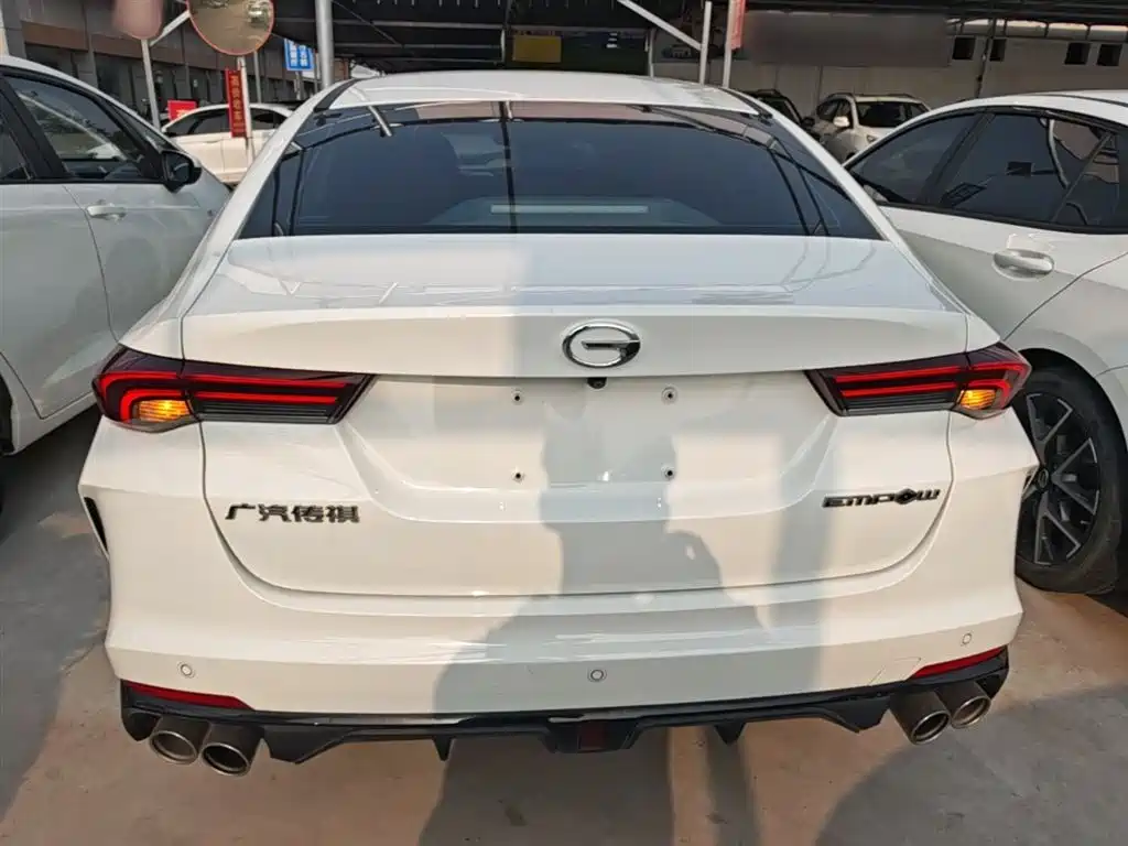 Shadow Leopard 2021 270T DCT J16 version купить на сайте DeffCars