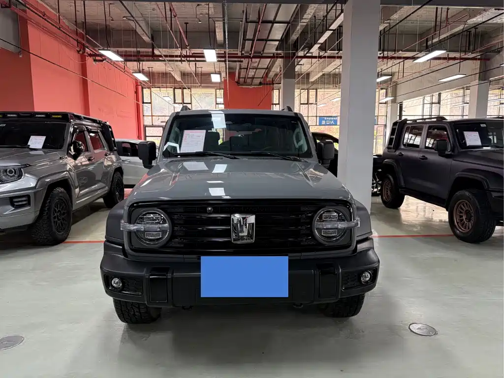 Tank 300 2021 Off-Road Version 2.0T Conqueror купить на сайте DeffCars