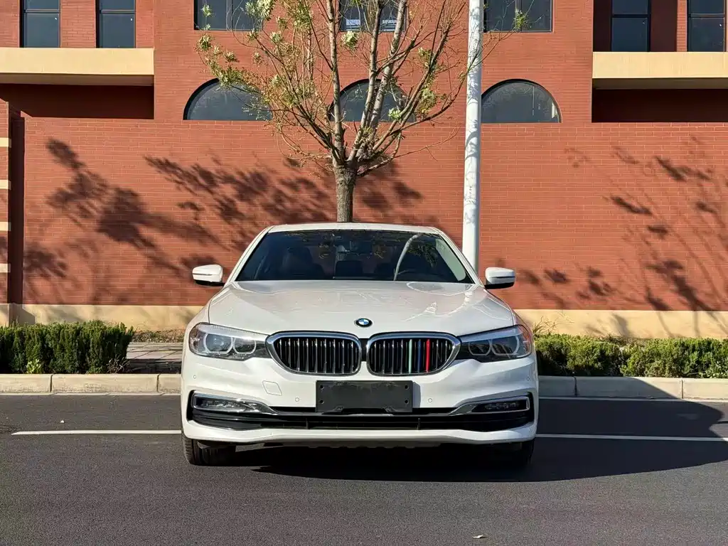 BMW 5 Series 2019 530Li Leading Luxury Package купить на сайте DeffCars