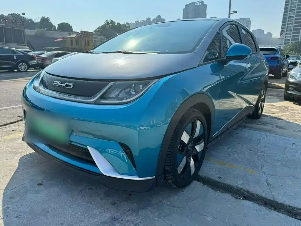 Dolphin 2021 401km Rider Edition купить на сайте DeffCars