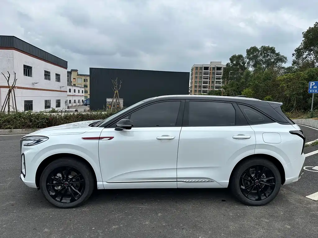 Hongqi HS3 PHEV 2025 117km Jinwei Edition купить на сайте DeffCars