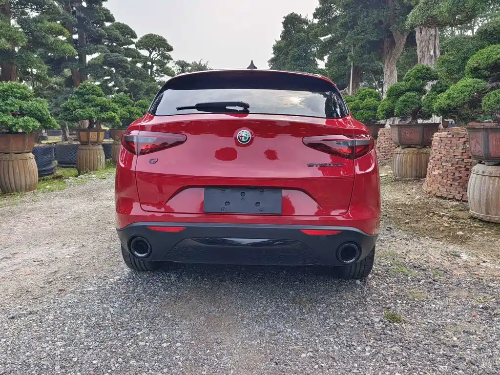 Stelvio 2017 2.0T 200HP Elite Edition купить на сайте DeffCars