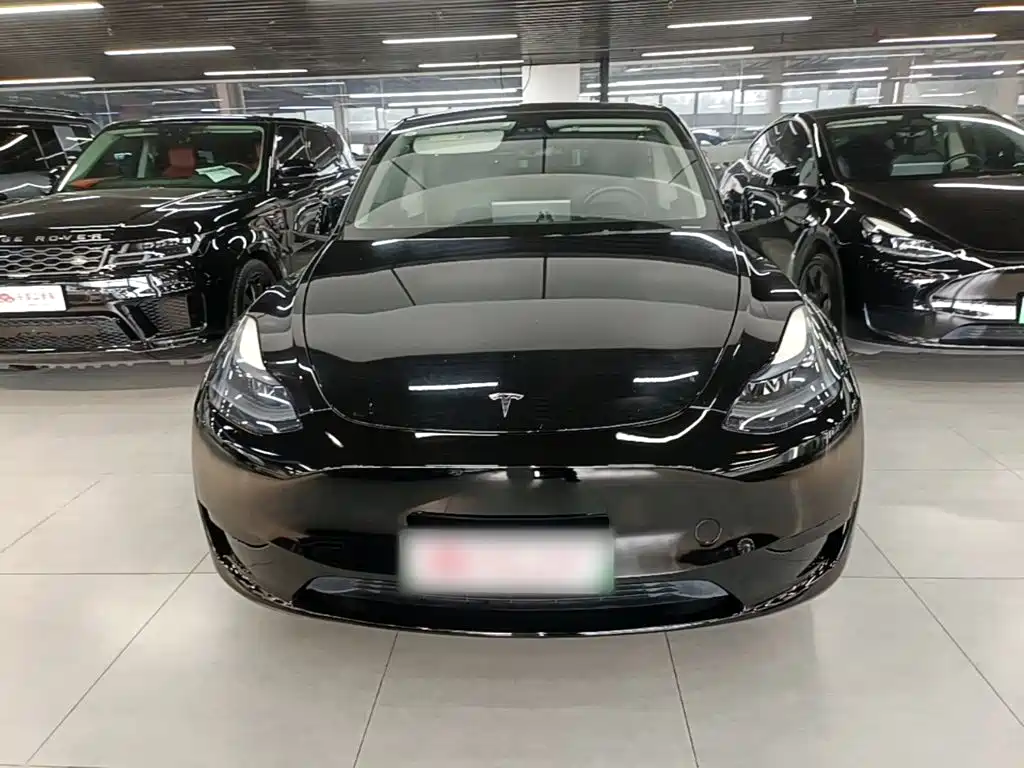 Model Y 2024 rear-wheel drive version купить на сайте DeffCars