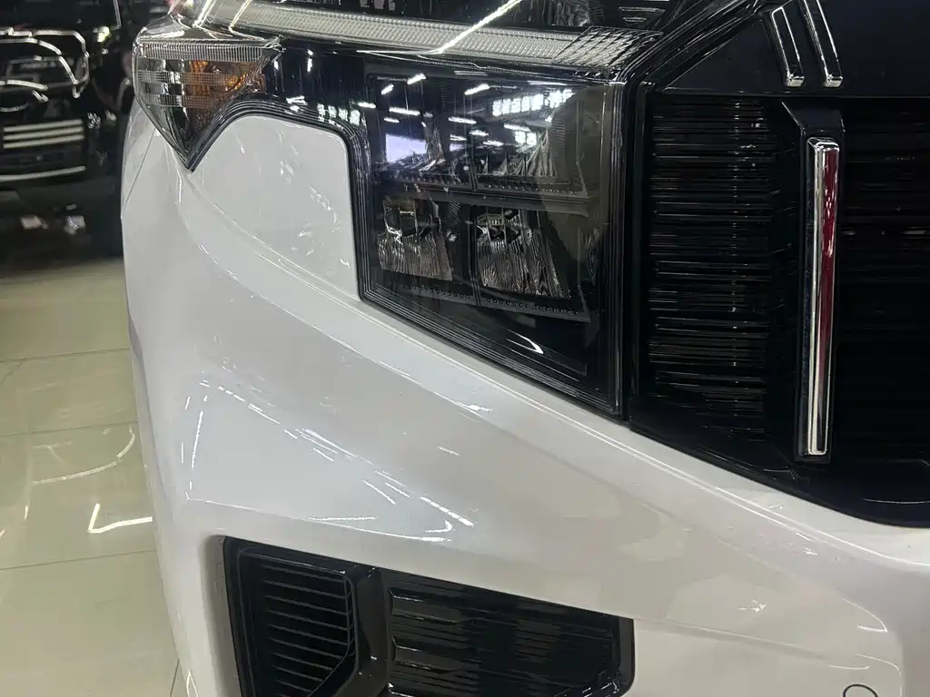 Zhipao 2021 Ace 2.0L Wonderful Edition купить на сайте DeffCars