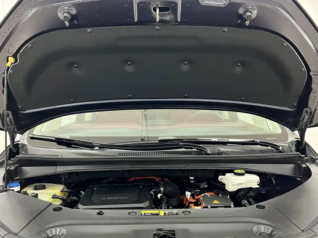 Trumpchi E9 2023 E9 MAX купить на сайте DeffCars