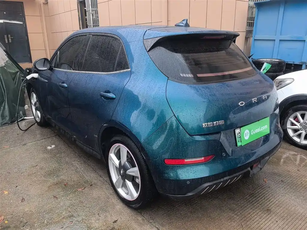 Euler Good Cat 2023 model 401km standard battery life luxury model lithium iron phosphate купить на сайте DeffCars
