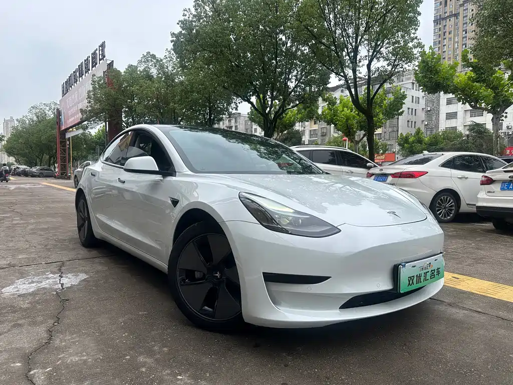 Model 3 2020 Standard Range Rear Drive Upgrade купить на сайте DeffCars