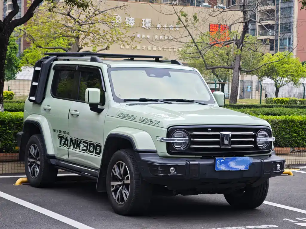 Tank 300 2021 Off-Road Version 2.0T Conqueror купить на сайте DeffCars