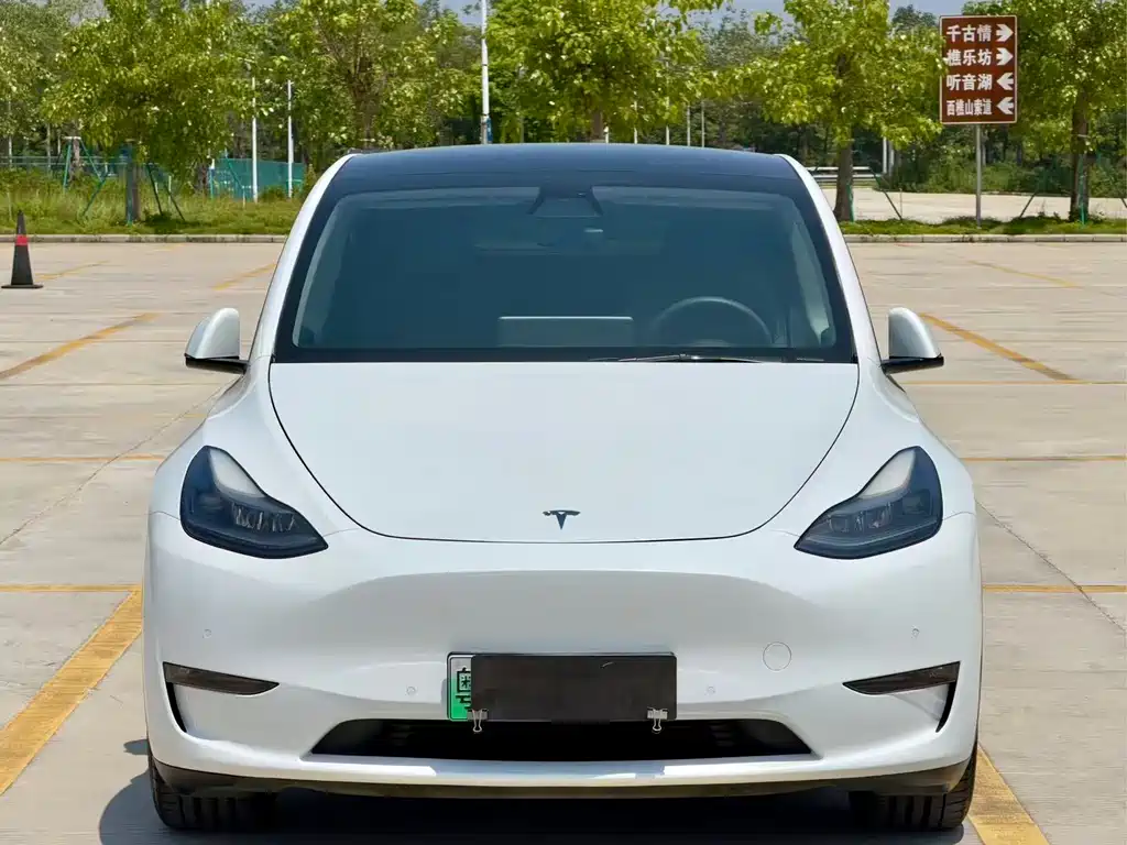 Model Y 2021 standard range rear-wheel drive version купить на сайте DeffCars
