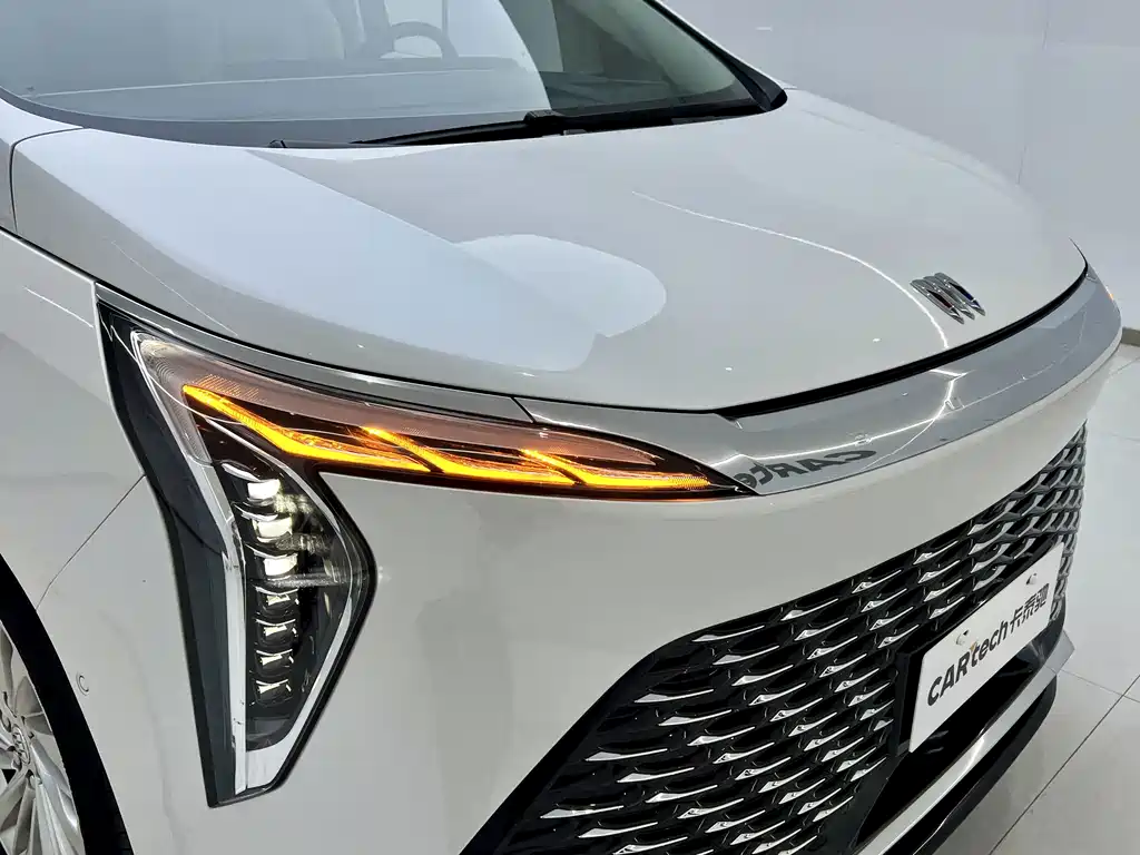 Century 2023 2.0T Six-seater Yuanshi Edition купить на сайте DeffCars