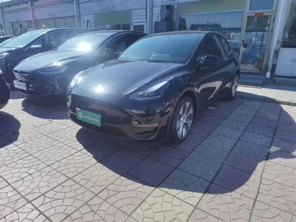 Model Y 2021 long-range all-wheel drive version купить на сайте DeffCars