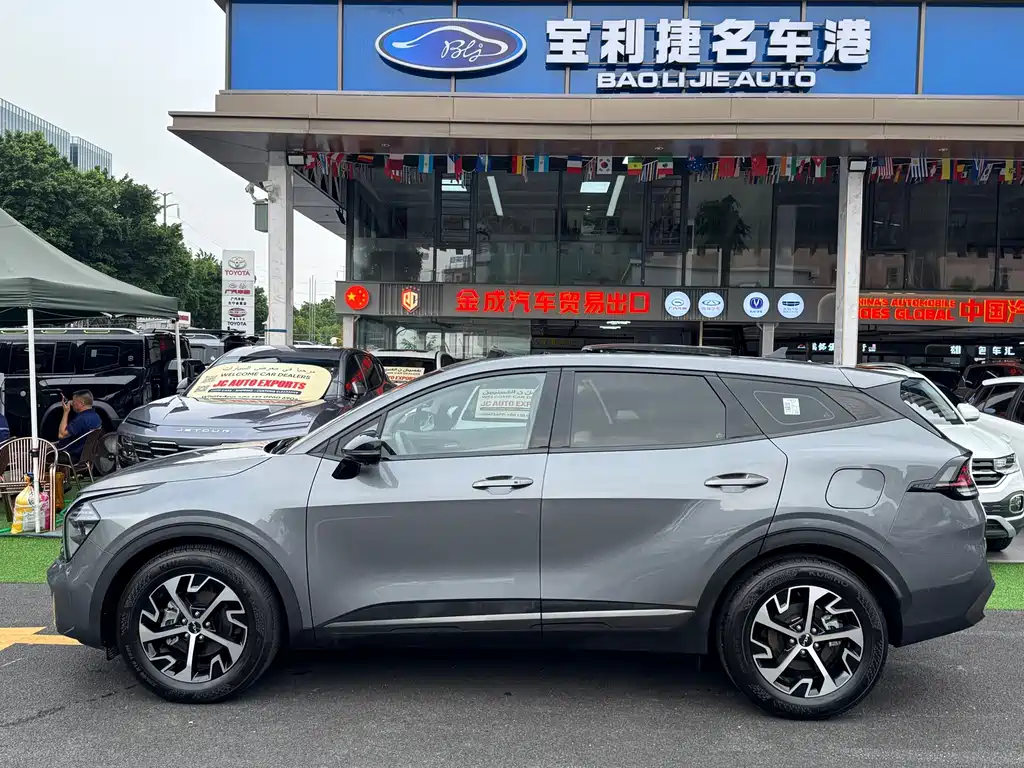 Lion Platinum Extension 2025 1.5T two-wheel drive premium version купить на сайте DeffCars