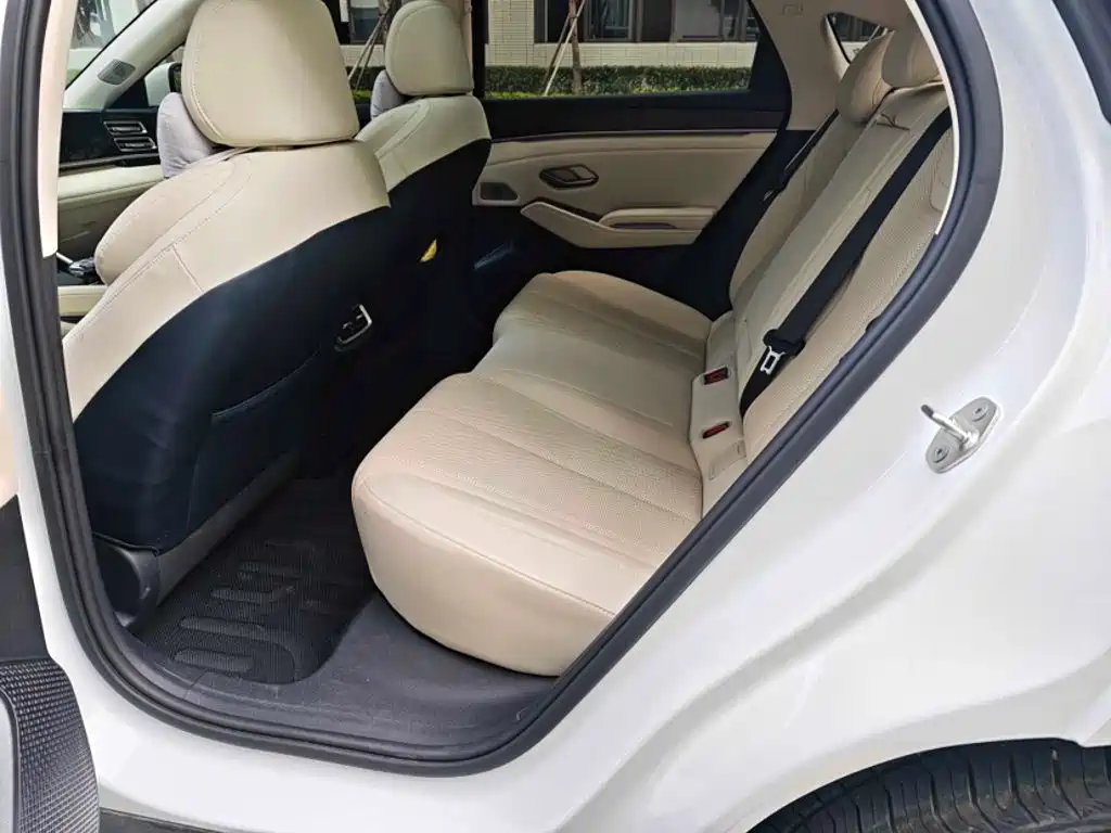 Qin L 2024 DM-i 120KM transcendent model купить на сайте DeffCars