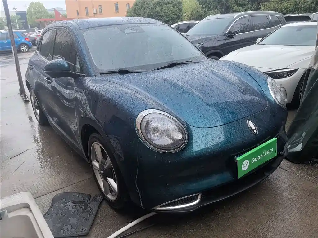 Euler Good Cat 2023 model 401km standard battery life luxury model lithium iron phosphate купить на сайте DeffCars