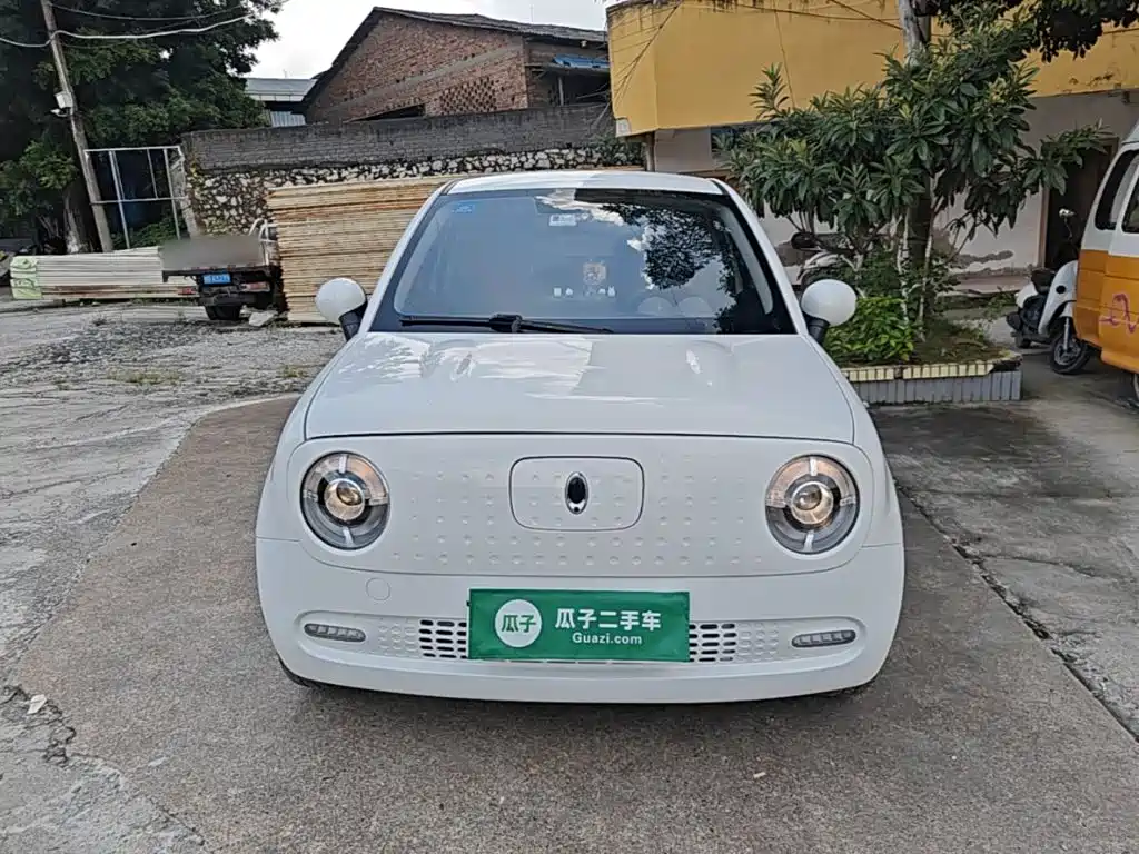 Euler Black Cat 2019 351km parent-child version купить на сайте DeffCars