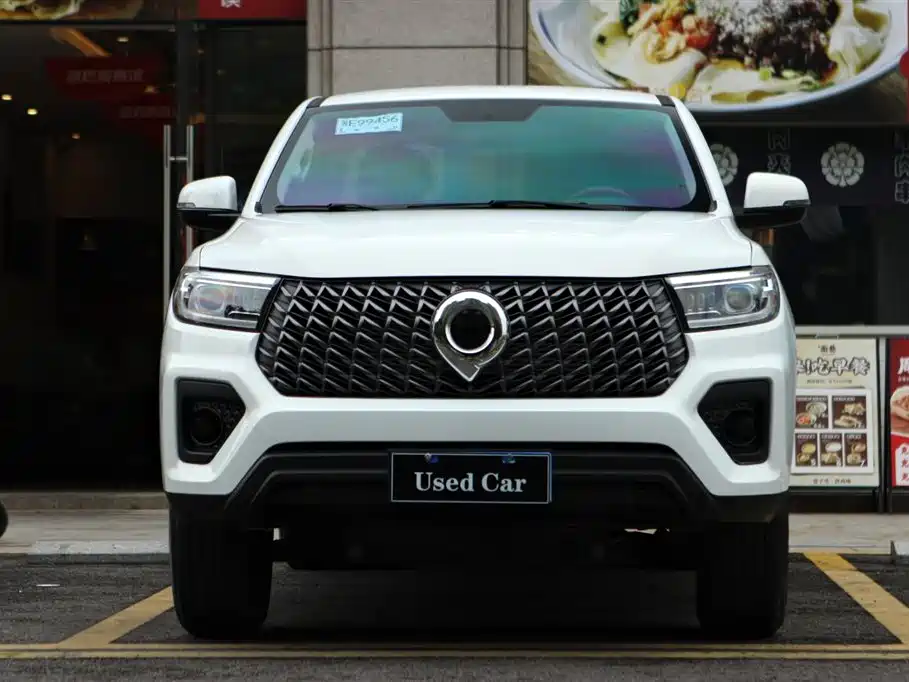 Cannon 2023 2.0T commercial version automatic gasoline four-wheel drive elite standard box GW4C20B купить на сайте DeffCars