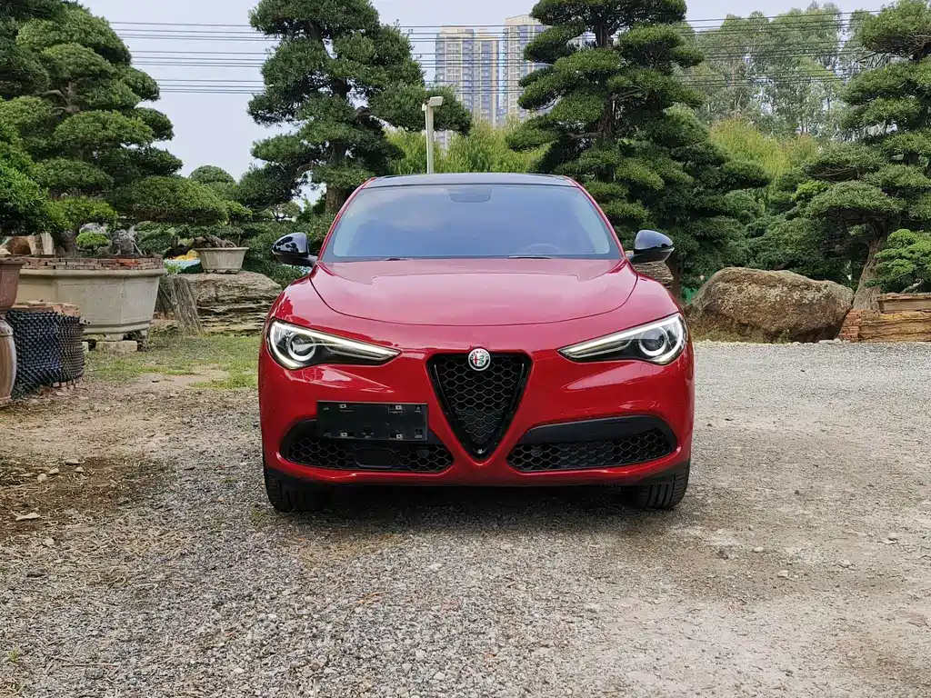 Stelvio 2017 2.0T 200HP Elite Edition купить на сайте DeffCars