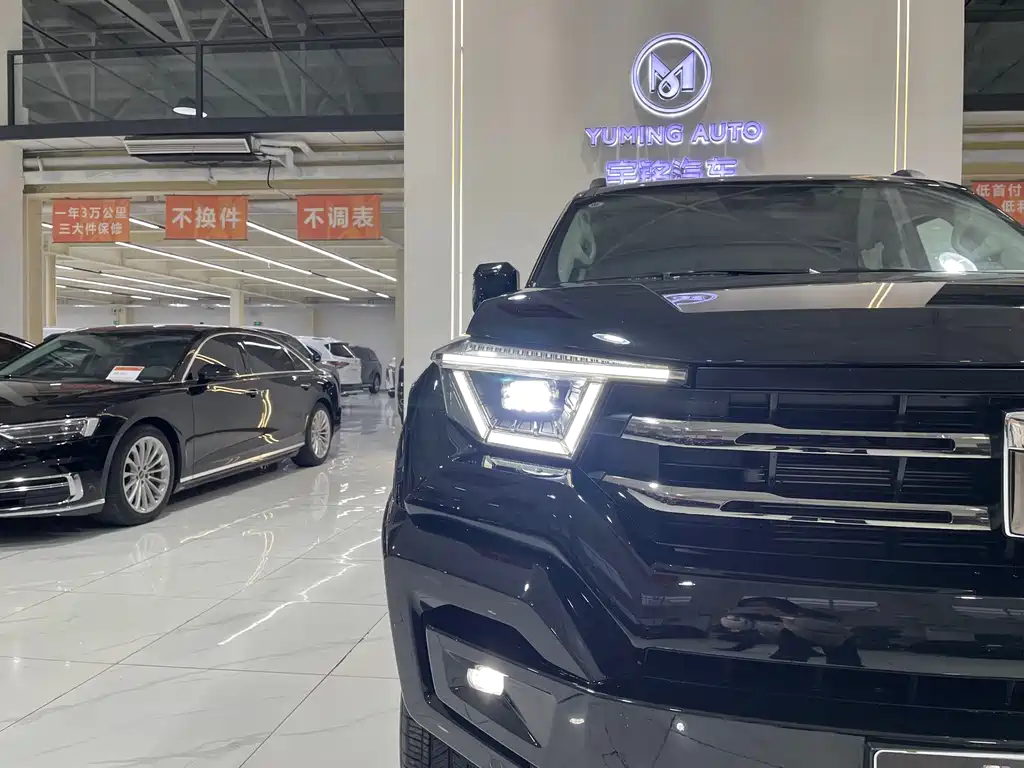 Tank 400 New Energy 2024 Hi4-T Off-Road Version купить на сайте DeffCars