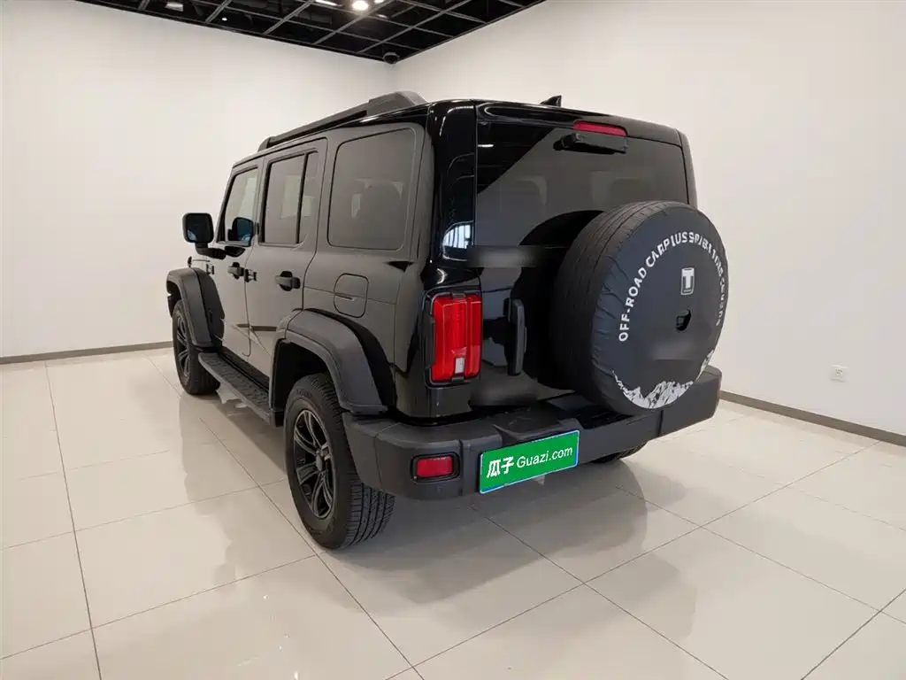 Tank 300 2023 Off-Road Version 2.0T Conqueror купить на сайте DeffCars