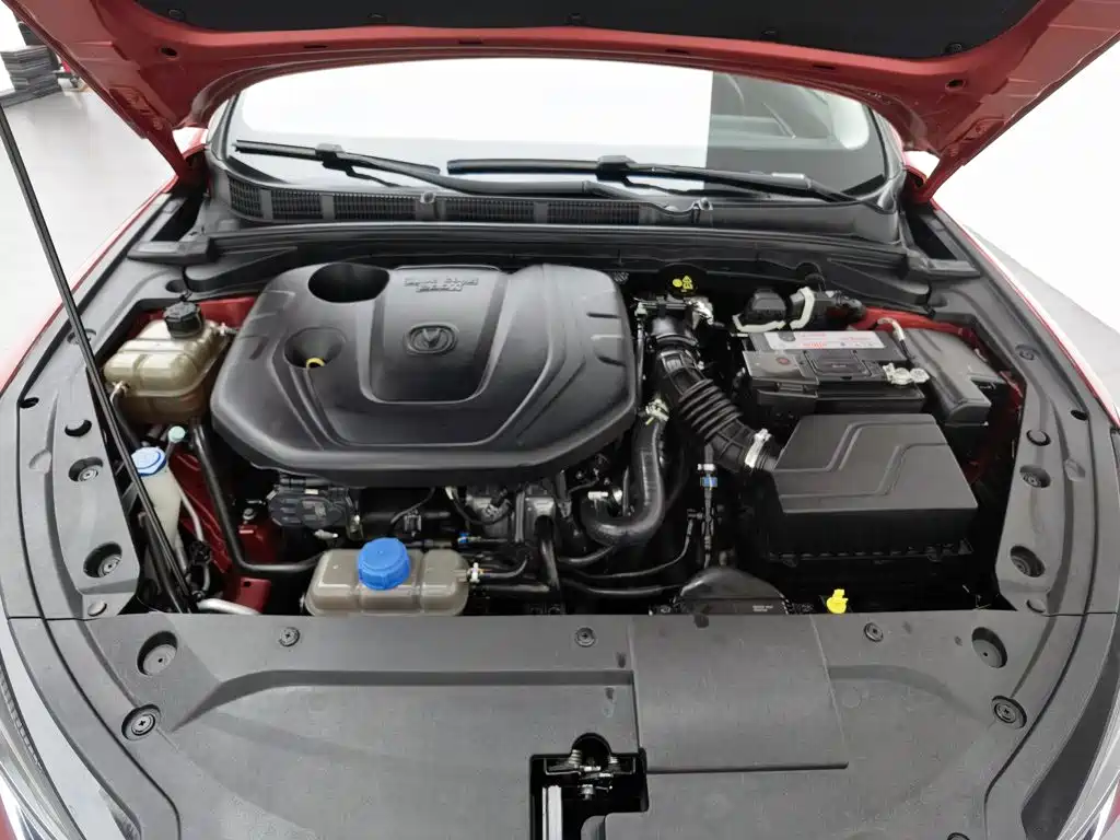 EADO 2020 PLUS Blue Whale NE 1.4T GDI DCT flagship model купить на сайте DeffCars