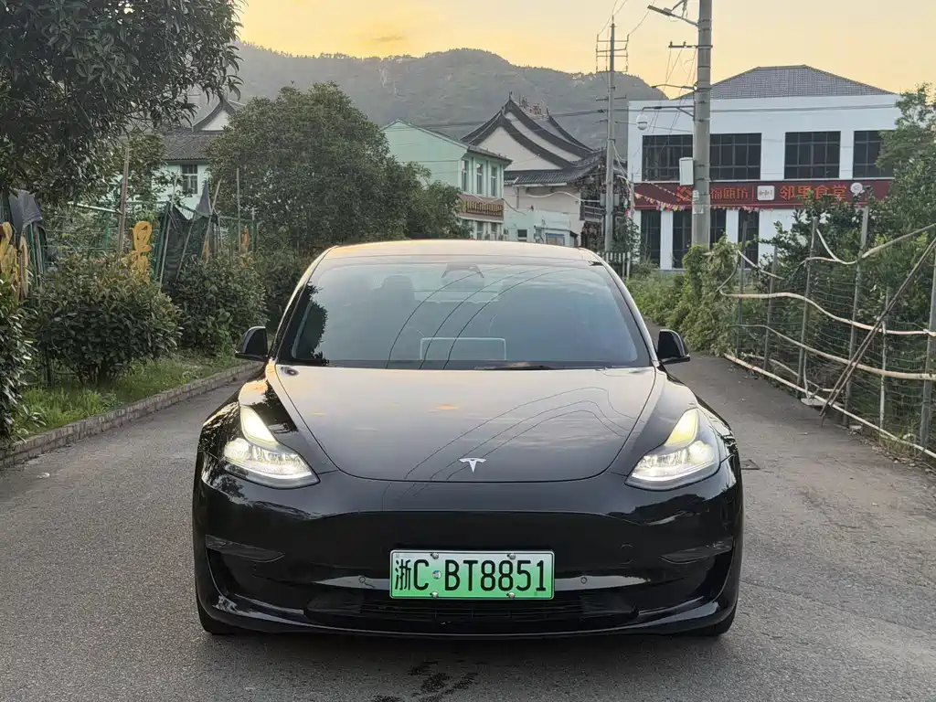 Model 3 2022 Performance high-performance all-wheel drive version купить на сайте DeffCars