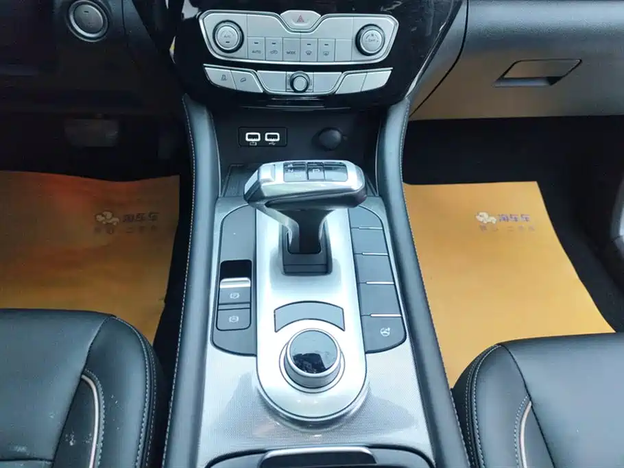 Cannon 2021 2.0T Passenger Global Version Automatic Diesel Two-wheel Drive Comfort Standard Box GW4D20M купить на сайте DeffCars