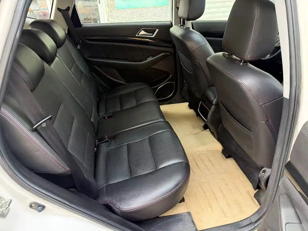 Cheetah CS10 2017 1.5T CVT premium model купить на сайте DeffCars
