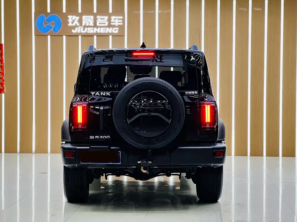 Tank 300 2021 Off-Road Version 2.0T Conqueror купить на сайте DeffCars