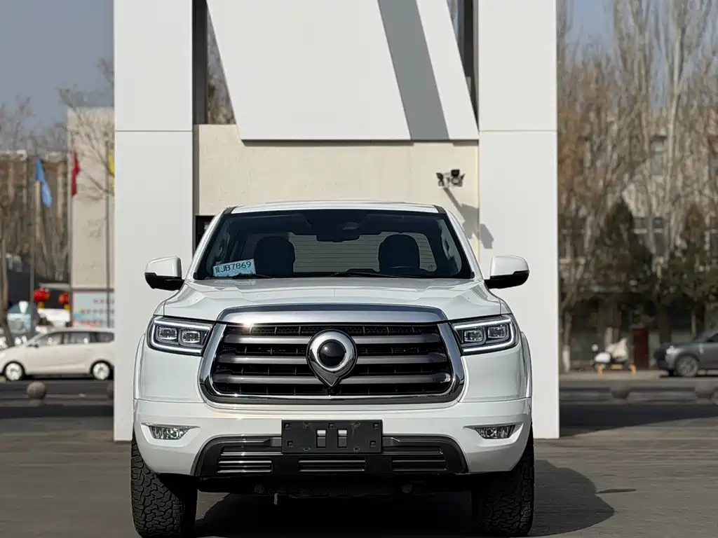 Cannon 2021 2.0T passenger global version automatic diesel four-wheel drive comfort standard box GW4D20M купить на сайте DeffCars