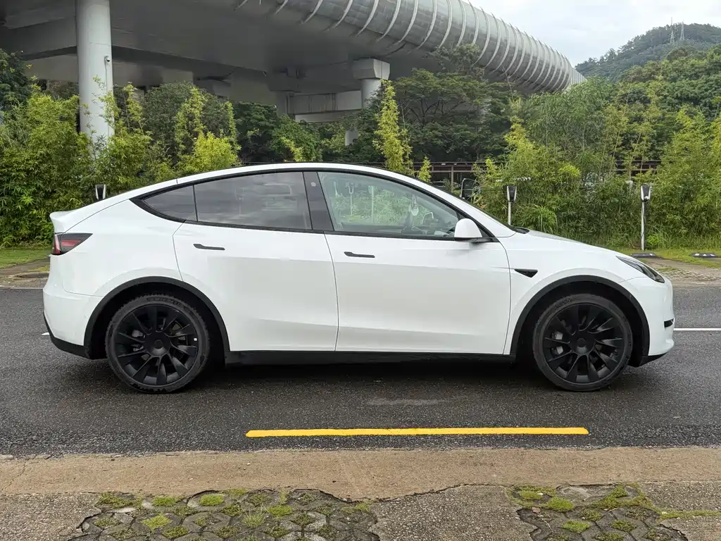 Model Y 2023 rear-wheel drive купить на сайте DeffCars