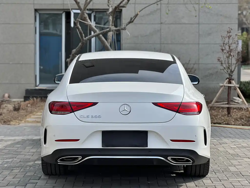 Mercedes-Benz CLS 2018 CLS 300 luxury model купить на сайте DeffCars