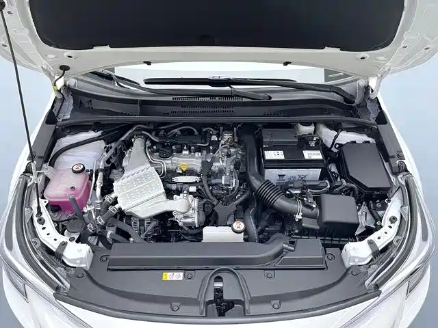 Ralink 2023 185T CVT Deluxe Edition купить на сайте DeffCars