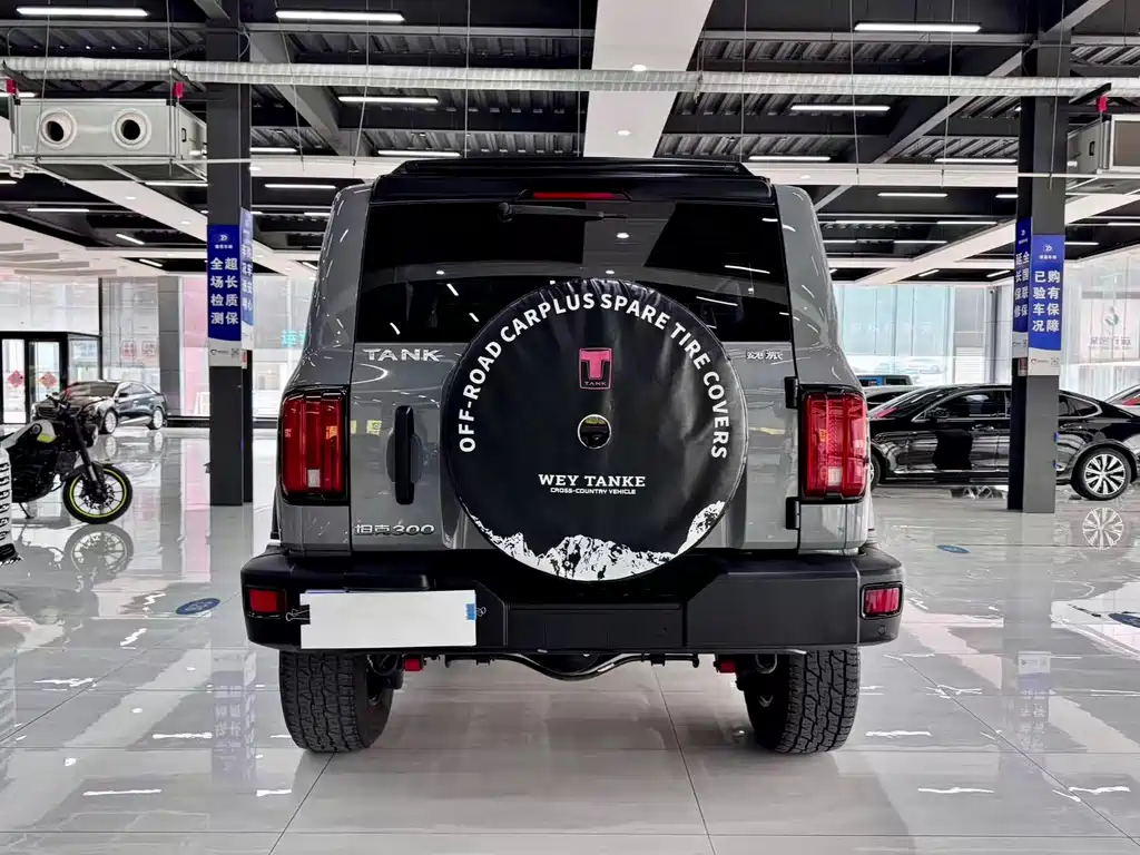 Tank 300 2021 Off-Road Version 2.0T Conqueror купить на сайте DeffCars