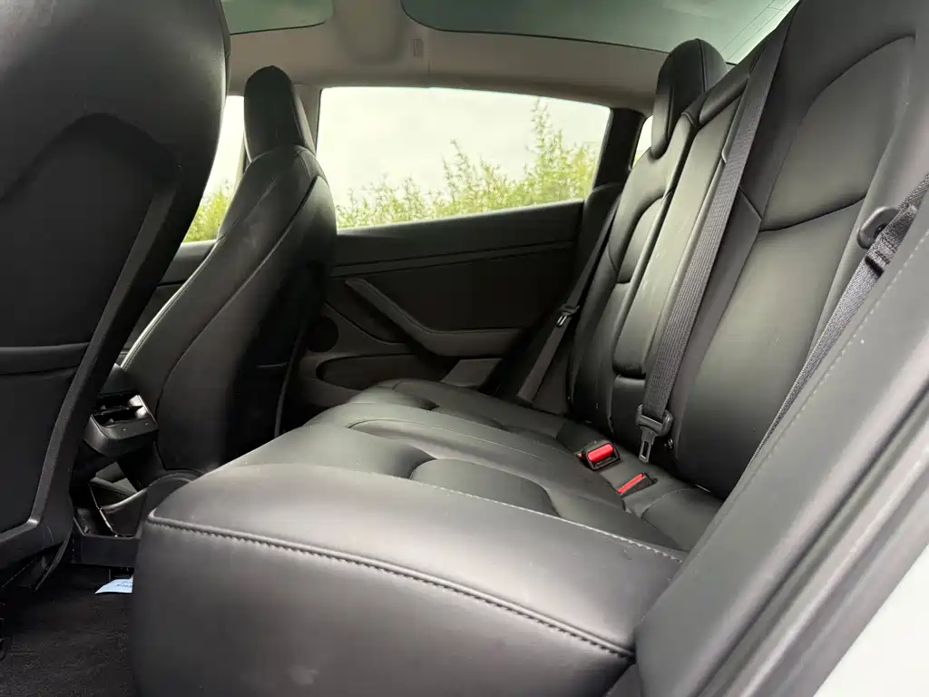 Model 3 2021 Standard Range Rear Drive Upgraded Version купить на сайте DeffCars