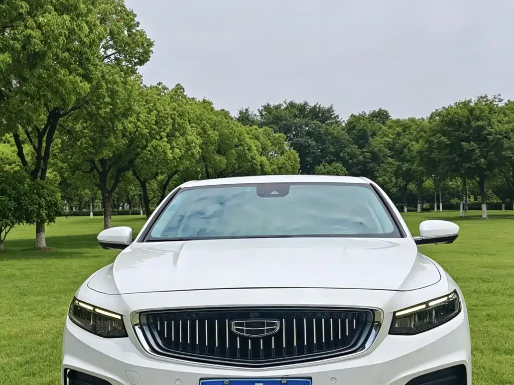Xingrui 2021 2.0TD Premium Model купить на сайте DeffCars