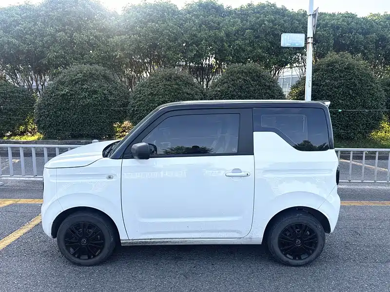 Panda 2023 Panda mini 200km endurance bear купить на сайте DeffCars