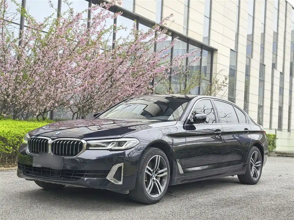 BMW 5 Series 2021 530Li Leading Luxury Package купить на сайте DeffCars