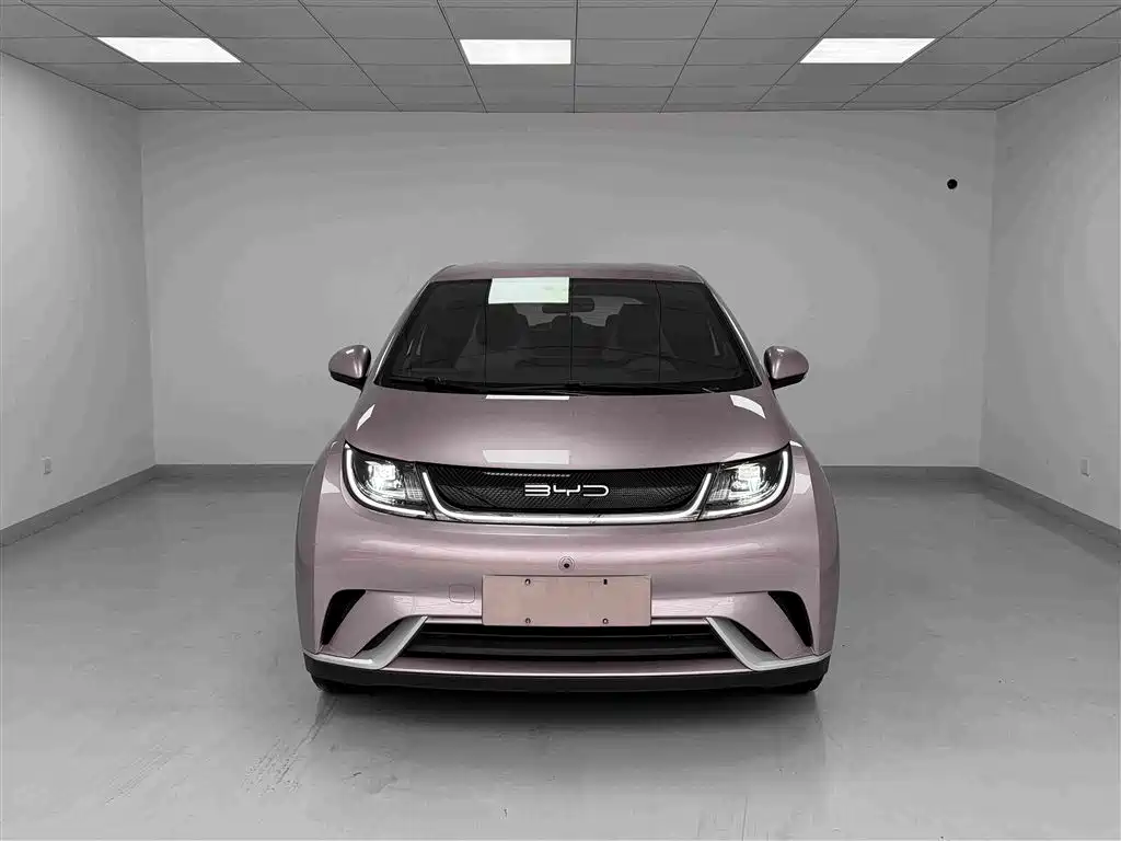 Dolphin 2023 420km Free Edition купить на сайте DeffCars