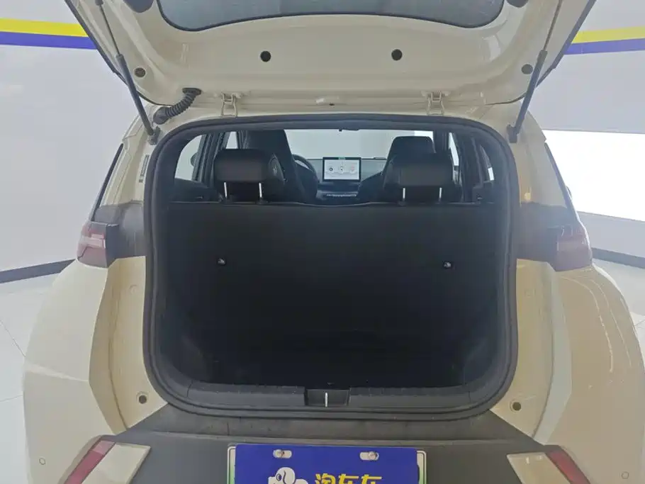 Seagull 2025 305km active version купить на сайте DeffCars