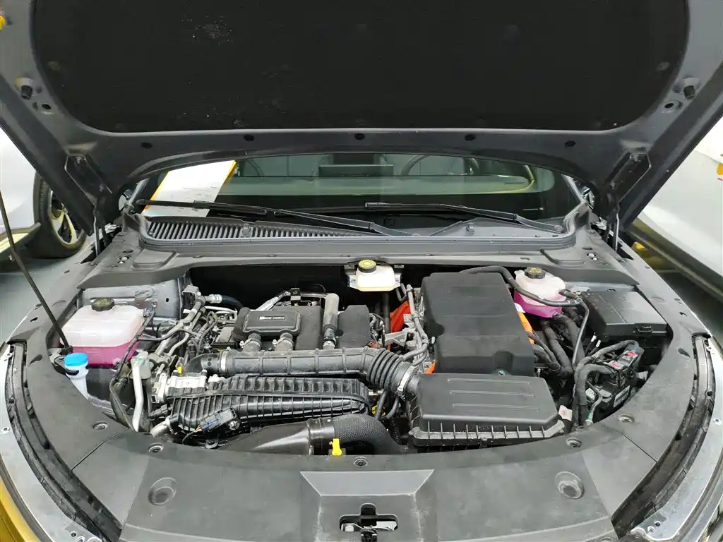 Qin L 2024 DM-i 120KM transcendent model купить на сайте DeffCars