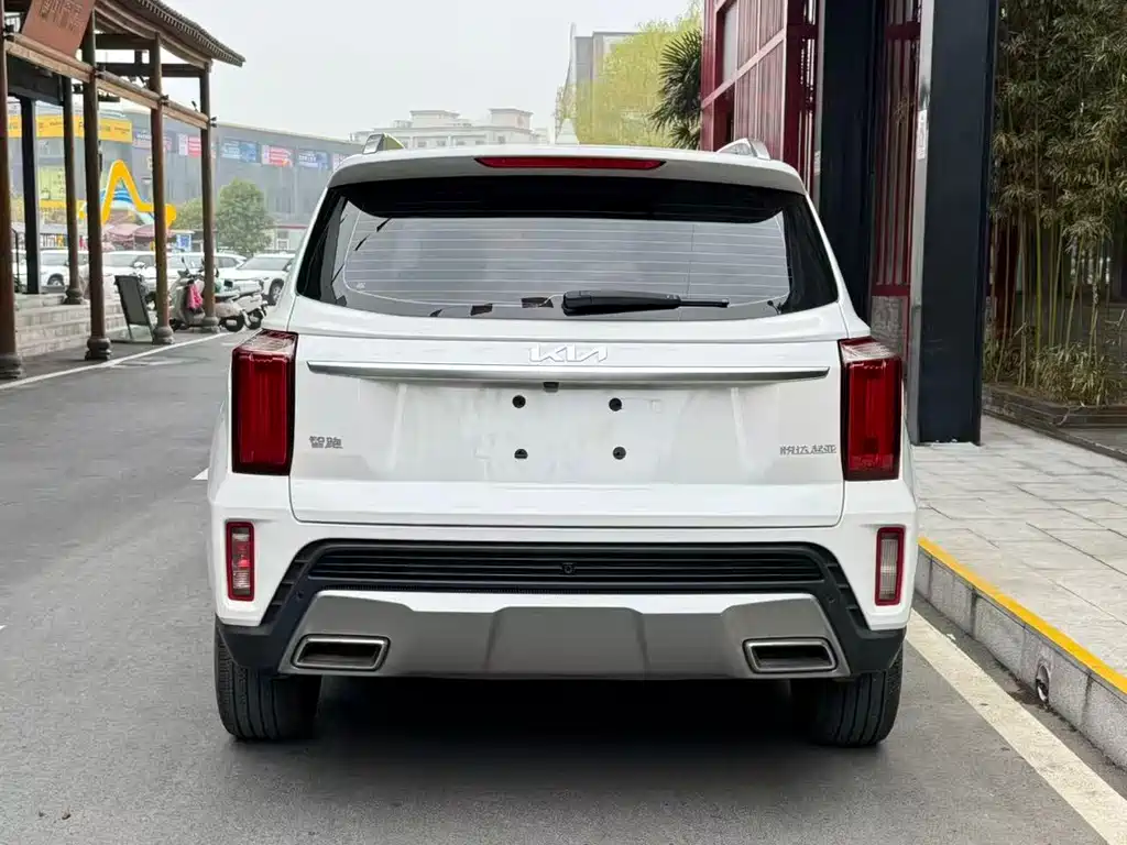 Zhipao 2021 Ace 2.0L Wonderful Edition купить на сайте DeffCars