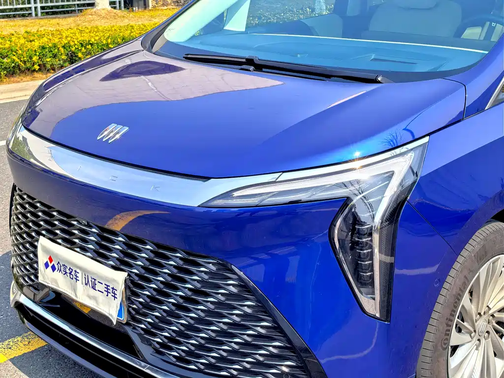 Century 2023 2.0T Six-seater Yuanshi Edition купить на сайте DeffCars