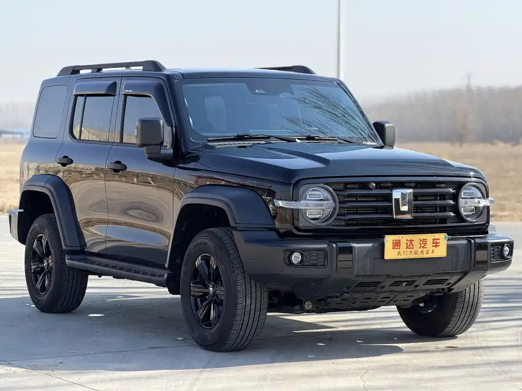 Tank 300 2025 2.0T Gasoline Conqueror купить на сайте DeffCars