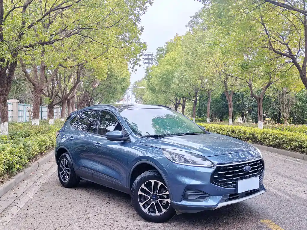 Ruiji 2020 EcoBoost 245 two-wheel drive leisure model купить на сайте DeffCars