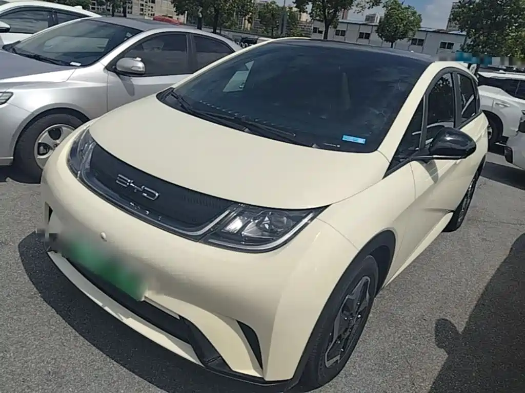 Dolphin 2021 405km Fashion Edition купить на сайте DeffCars