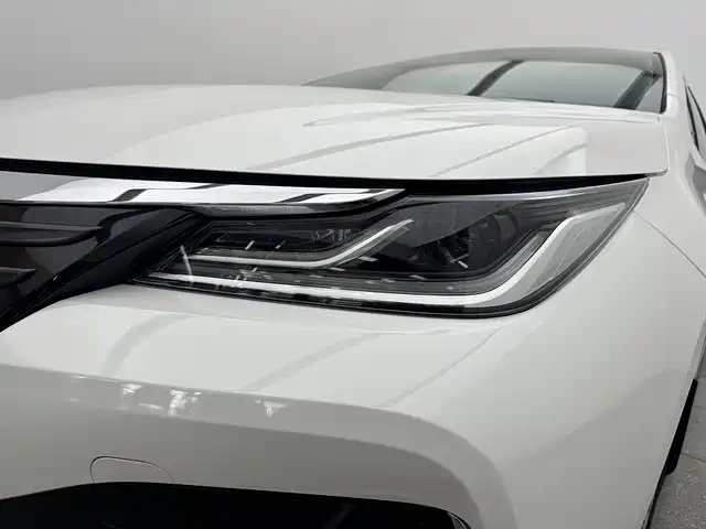 Asia Lion 2021 2.0L Advanced Edition купить на сайте DeffCars