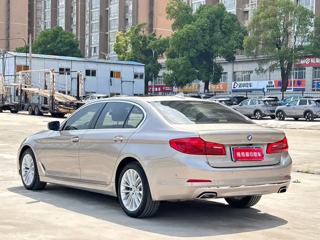 BMW 5 Series 2020 530Li Leading Luxury Package купить на сайте DeffCars